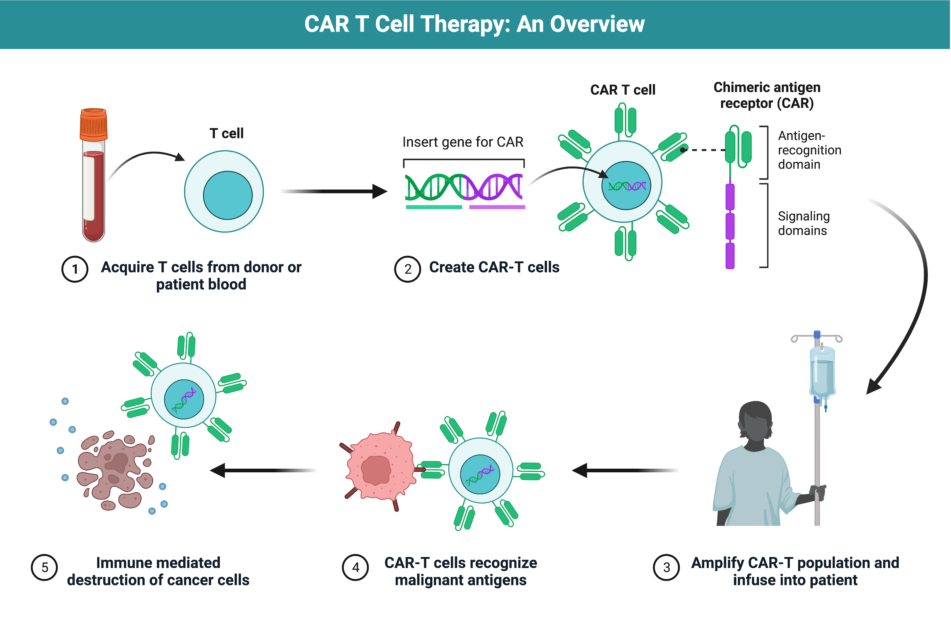 Creating Cell Therapies With Synthetic DNA Twist Bioscience